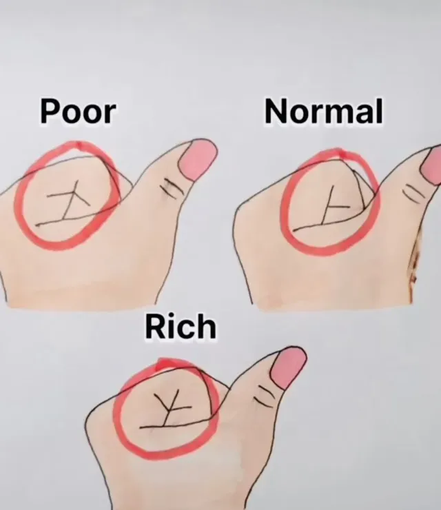 부자되는 손금?