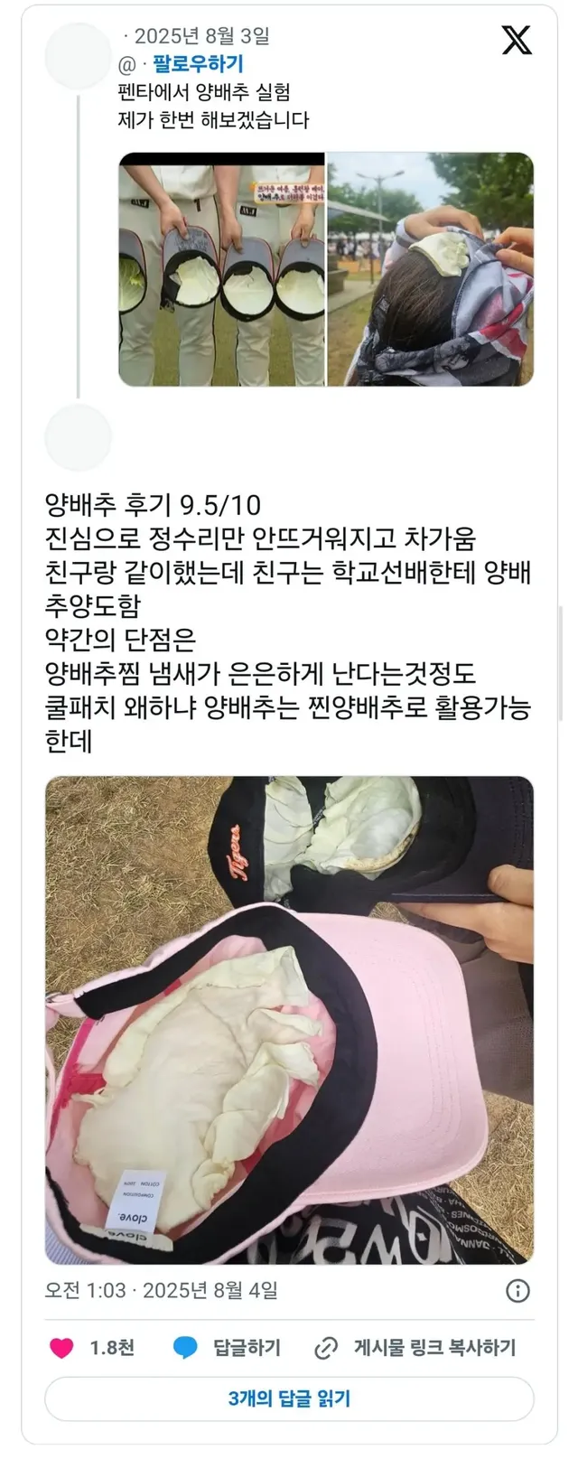 펜타에서 양배추 실험 제가 한번 해보겠습니다