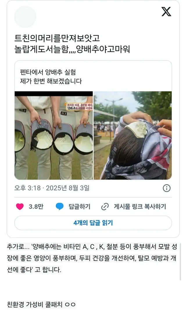 펜타에서 양배추 실험 제가 한번 해보겠습니다