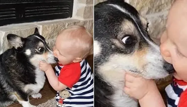 뽀뽀할 줄 알았어요.