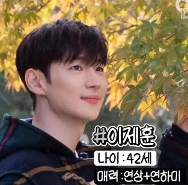 반박불가 리얼 영포티들