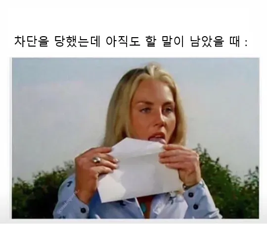 외국 밈 몇 개 퍼왔어