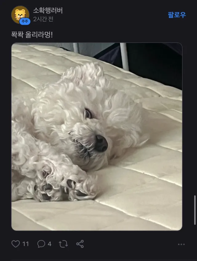 토스 어느종목 종토방 근황