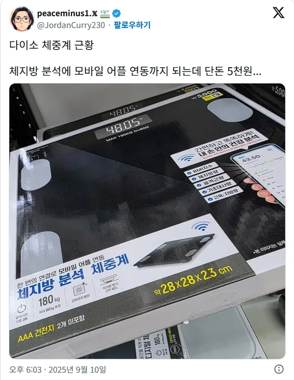 다이소 체중계 근황