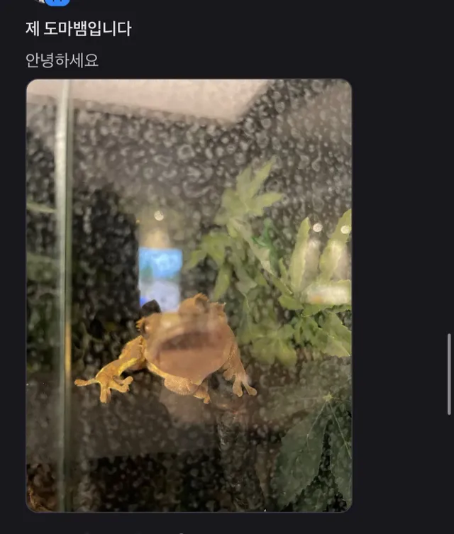 토스 어느종목 종토방 근황