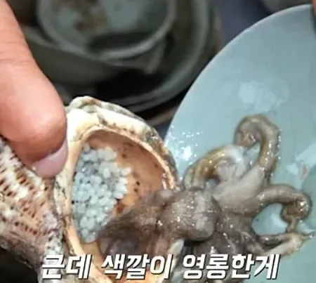 역대 최대 포상금 받은 어부