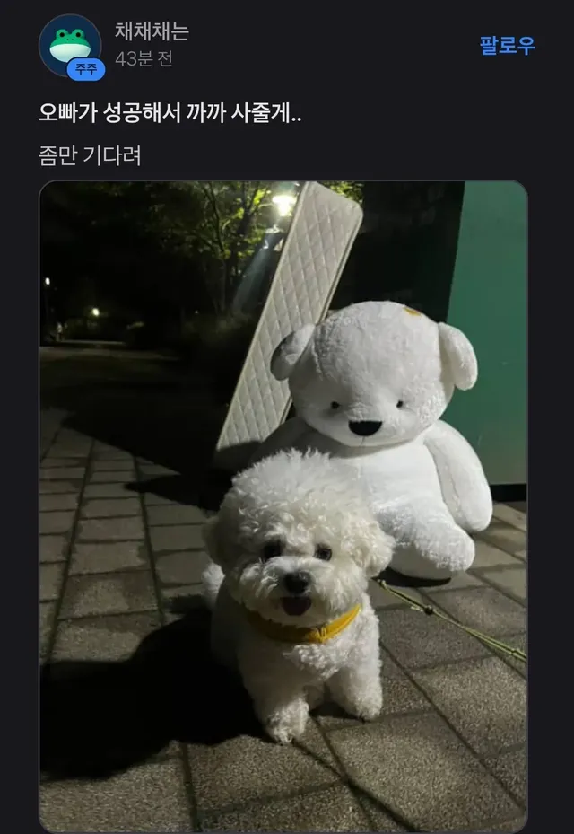 토스 어느종목 종토방 근황