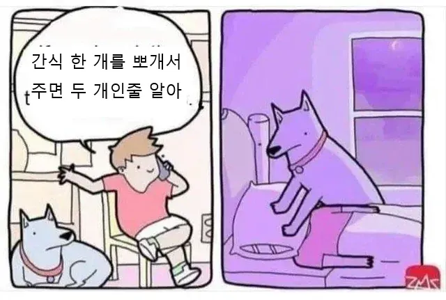 외국 밈 몇 개 퍼왔어