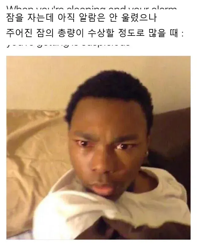 외국 밈 몇 개 퍼왔어