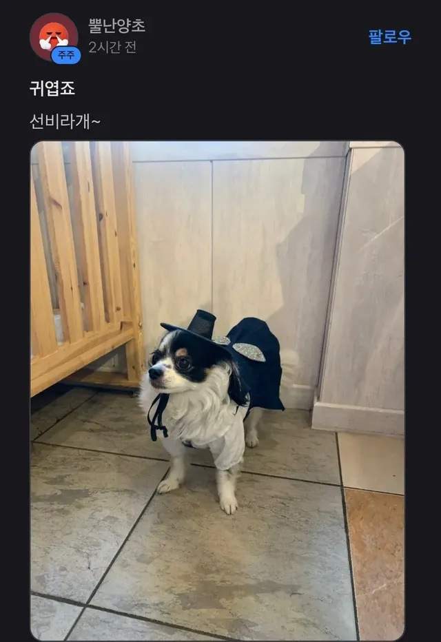 토스 어느종목 종토방 근황