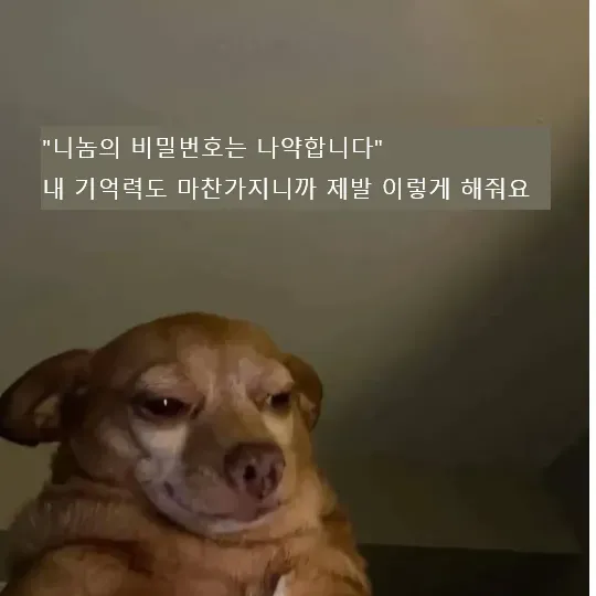 외국 밈 몇 개 퍼왔어