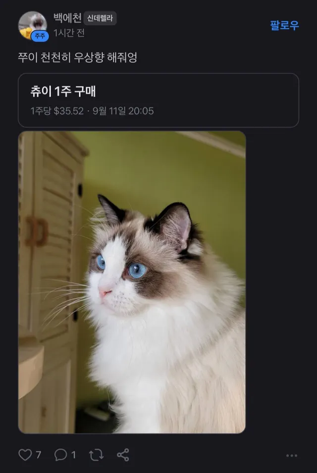 토스 어느종목 종토방 근황