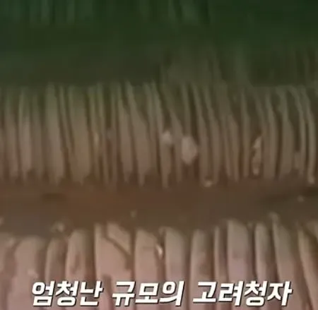 역대 최대 포상금 받은 어부