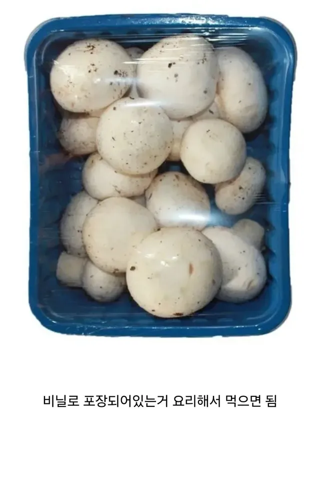 일반인도 쉽게 식용버섯 구분하는 방법.