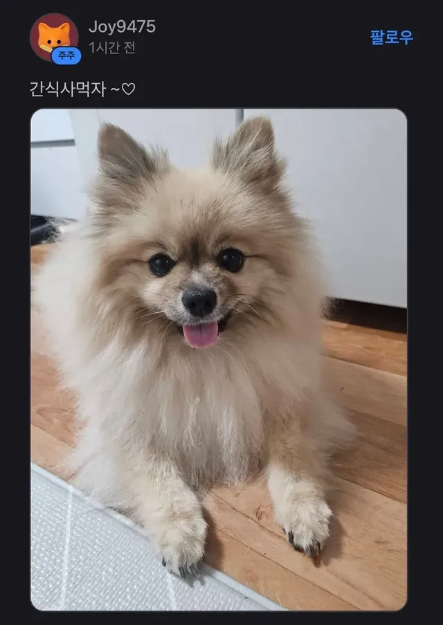 토스 어느종목 종토방 근황