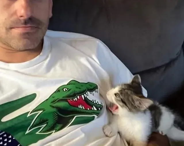 악어랑 싸우는 고양이.