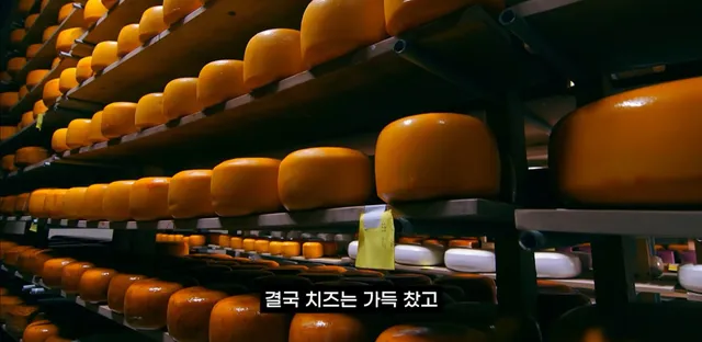 팔고 남은 우유를 정부가 전부 사주자 생긴 일.jpg