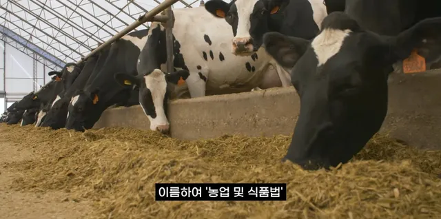 팔고 남은 우유를 정부가 전부 사주자 생긴 일.jpg