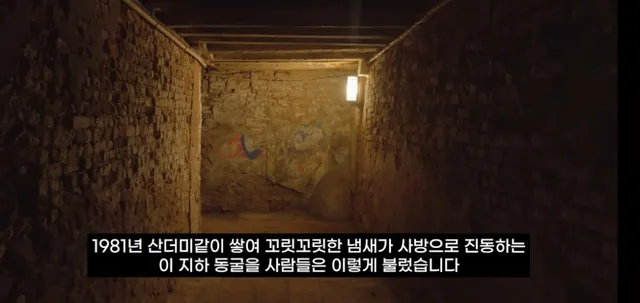 팔고 남은 우유를 정부가 전부 사주자 생긴 일.jpg