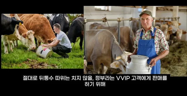 팔고 남은 우유를 정부가 전부 사주자 생긴 일.jpg