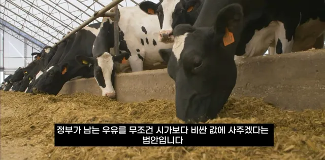 팔고 남은 우유를 정부가 전부 사주자 생긴 일.jpg