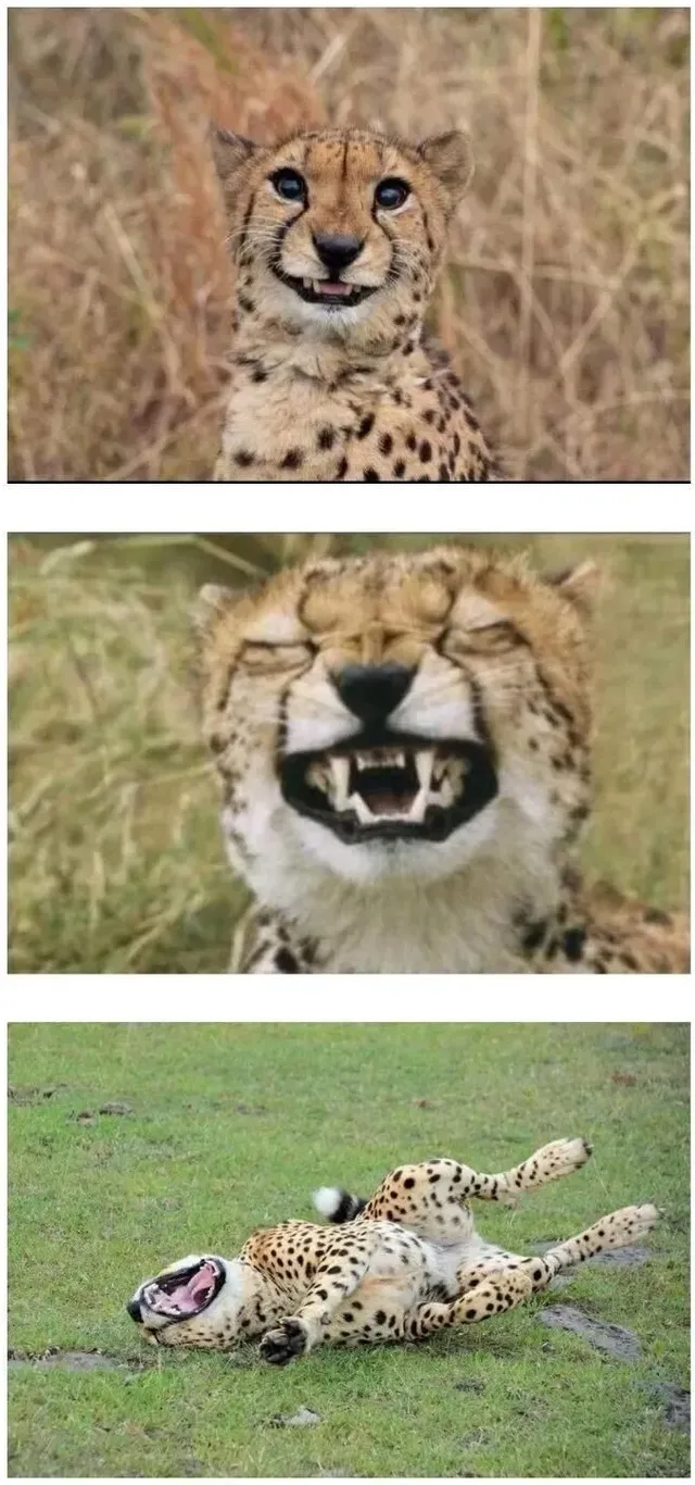 일본에서 가장 오싹한 곳(ㅇㅎ)