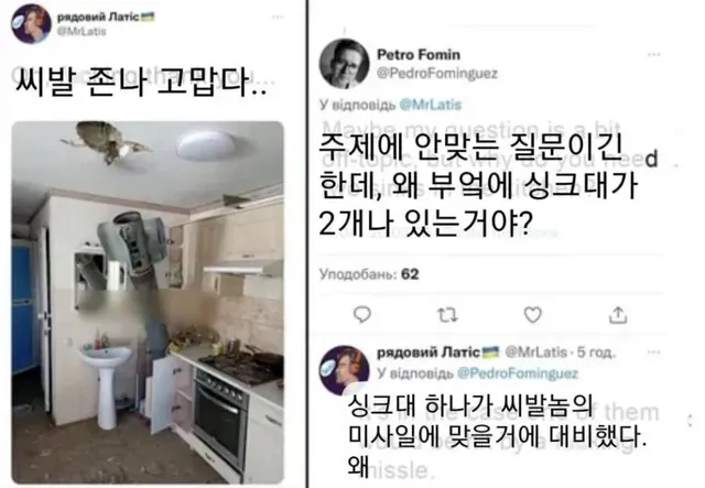 왜 부엌에 싱크대가 2개나 있는거야?