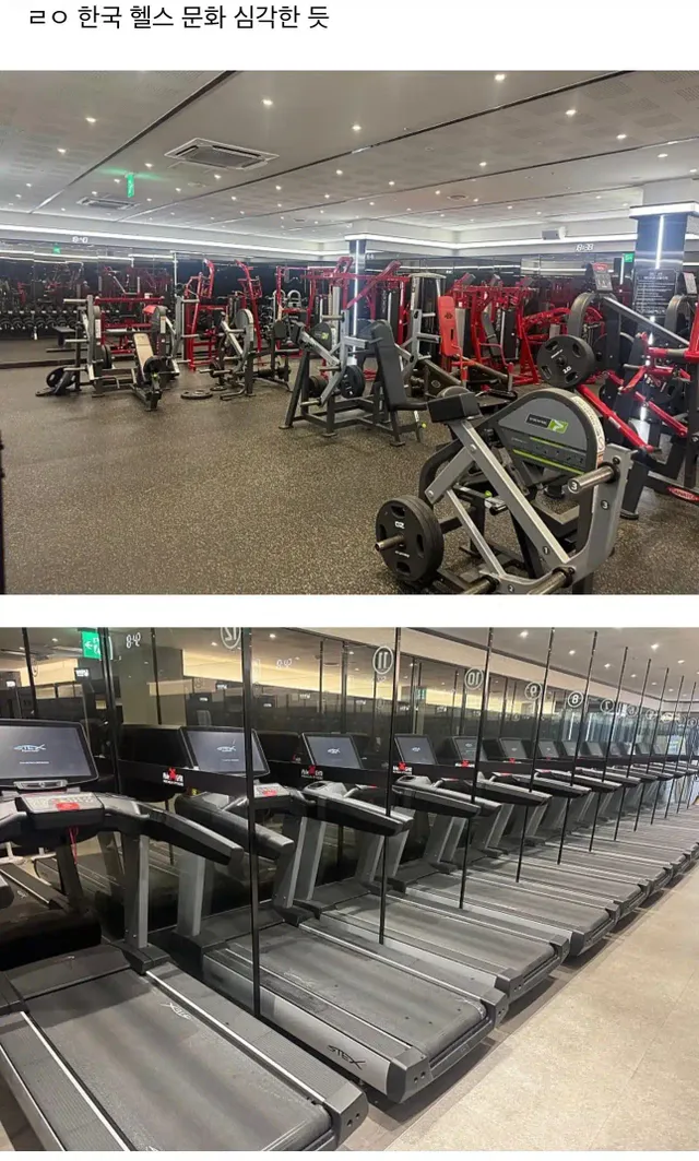 여름 끝난 헬스장 피크 타임 근황.jpg