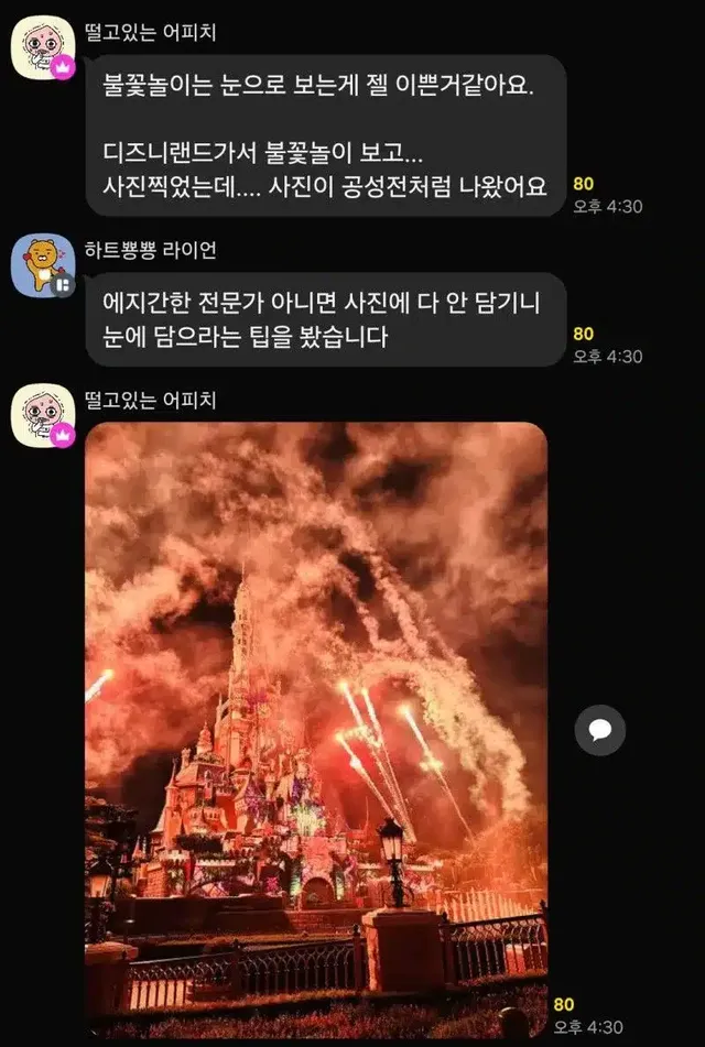 디즈니랜드 갔는데 사진을 잘못찍음