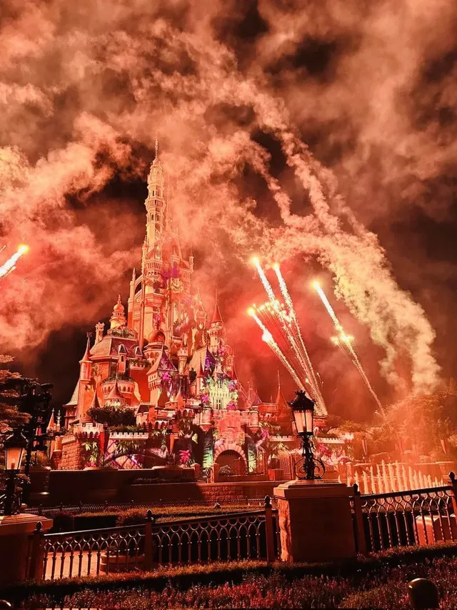 디즈니랜드 갔는데 사진을 잘못찍음