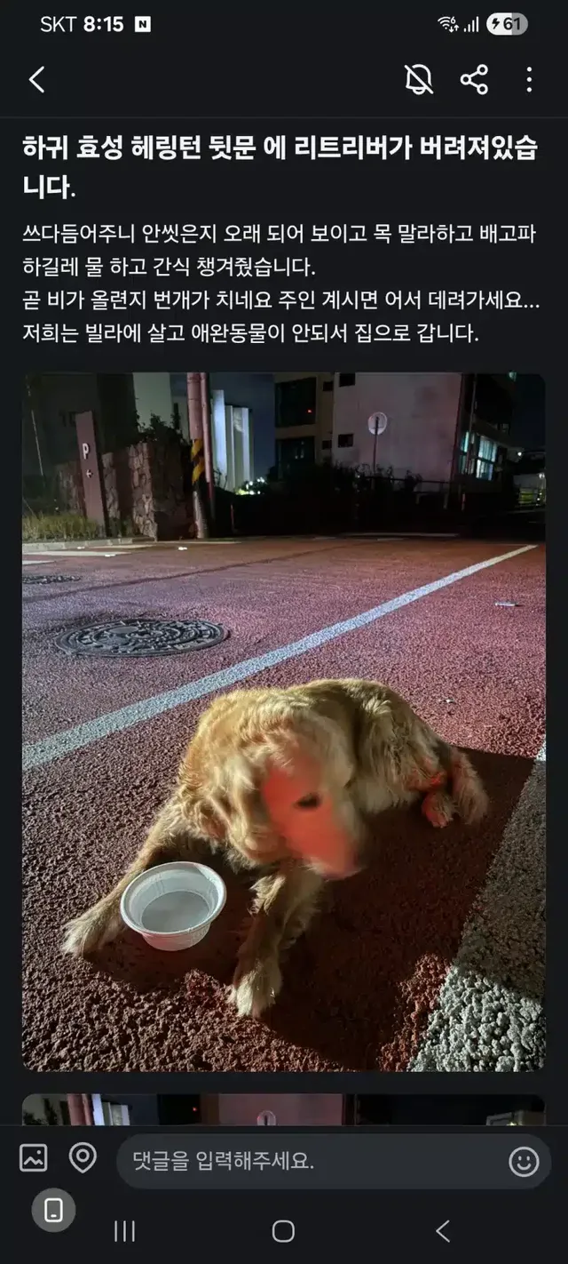 리트리버가 버려져있어요ㅠㅠ.jpg