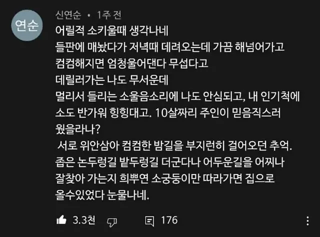 생각보다 지능이 높은 동물