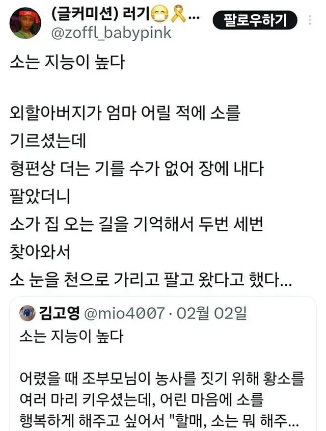 생각보다 지능이 높은 동물