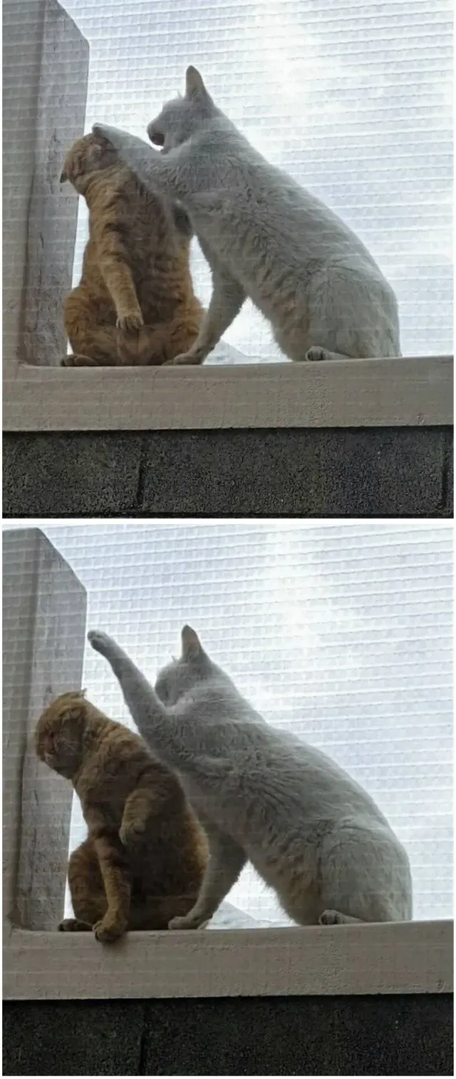 아내가 예뻐보여 뽀뽀 했더니...