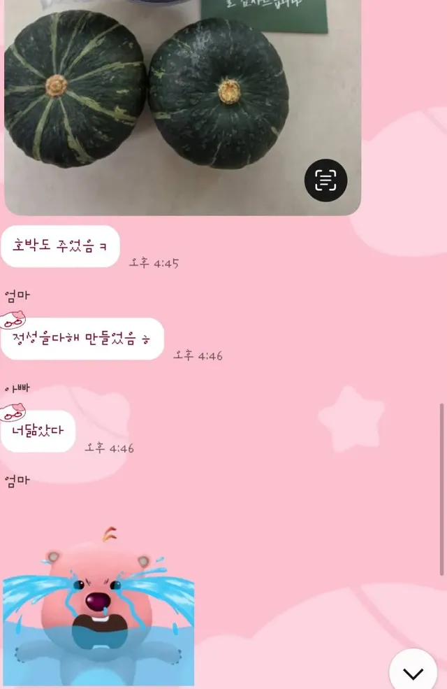 화목 가족들....단톡방 모음.....JPG