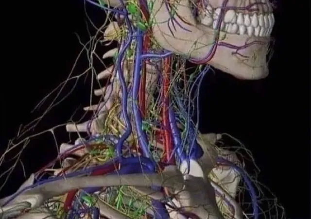 선정리를 전문가에게 맡겨야하는 이유