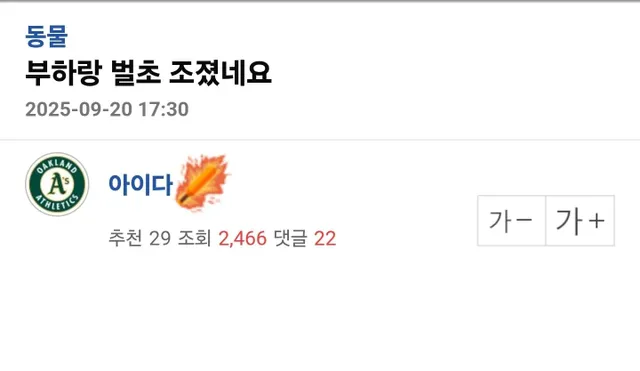 벌초하는 데 부하 데려간 사람