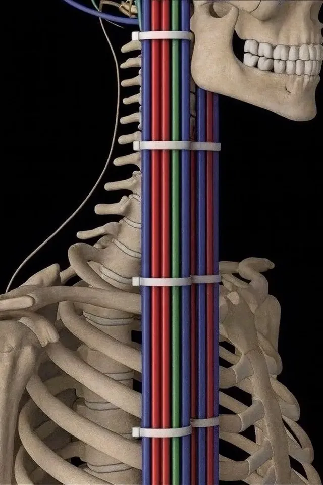 선정리를 전문가에게 맡겨야하는 이유