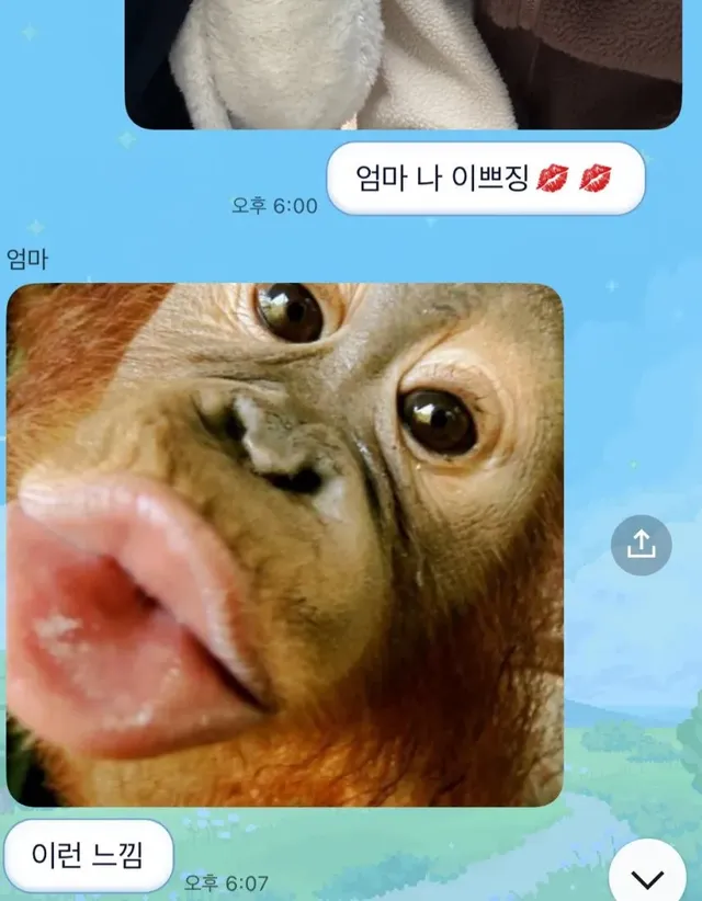 화목 가족들....단톡방 모음.....JPG