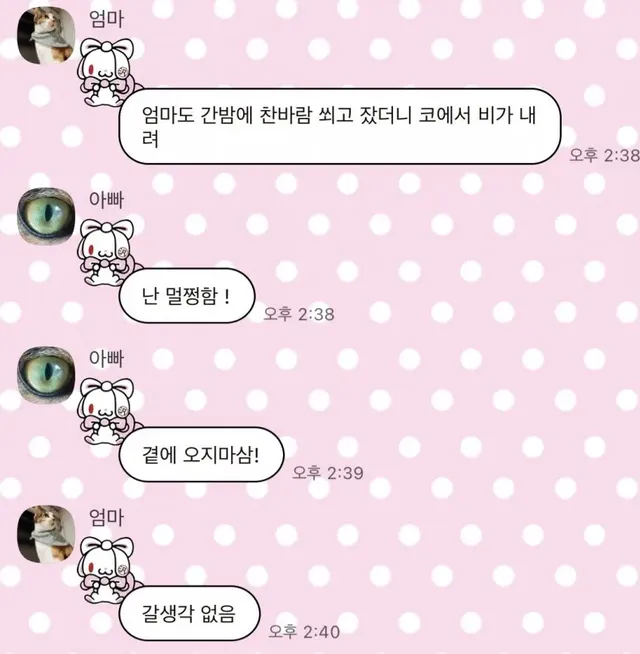 화목 가족들....단톡방 모음.....JPG