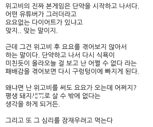 디씨 위고비 갤러리에 올라온 요요 후기.jpg