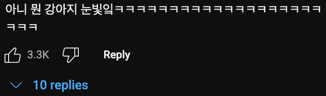 발냄새 때문에 열받은 댕댕이🐶