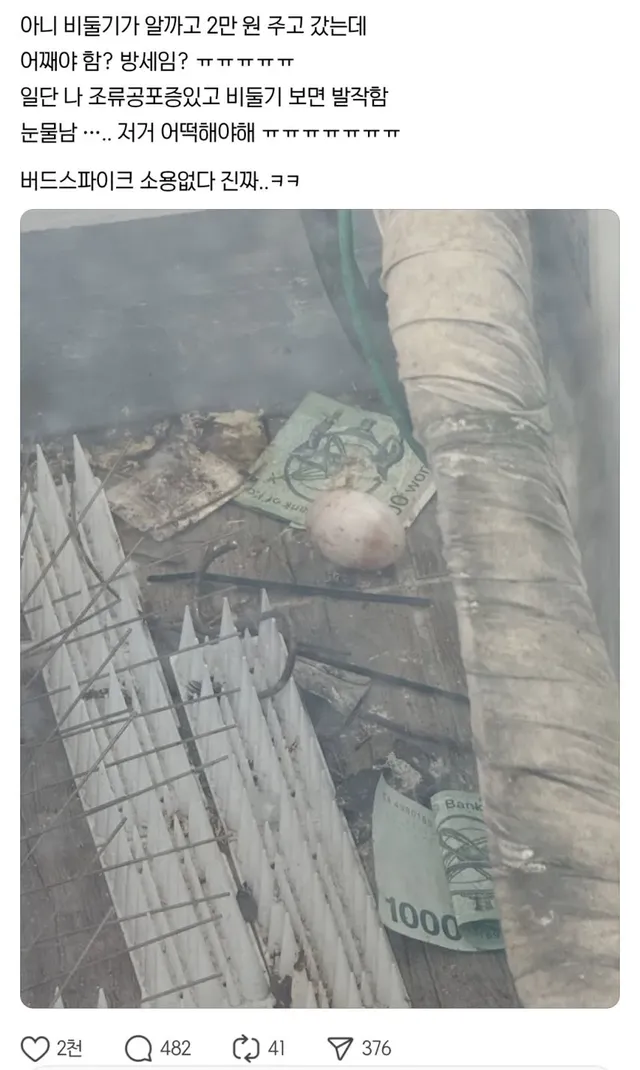 보증금 2만원 내고 자식을 두고감.