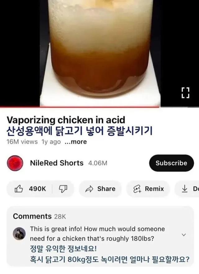 산성용액에 닭고기 넣고 녹이기