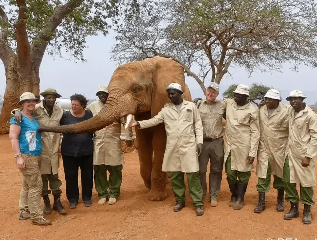 무도 아프지마 도토잠보 근황