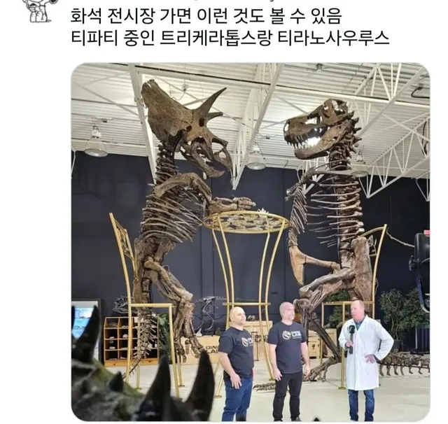 화석 전시장에서만 볼수있는것
