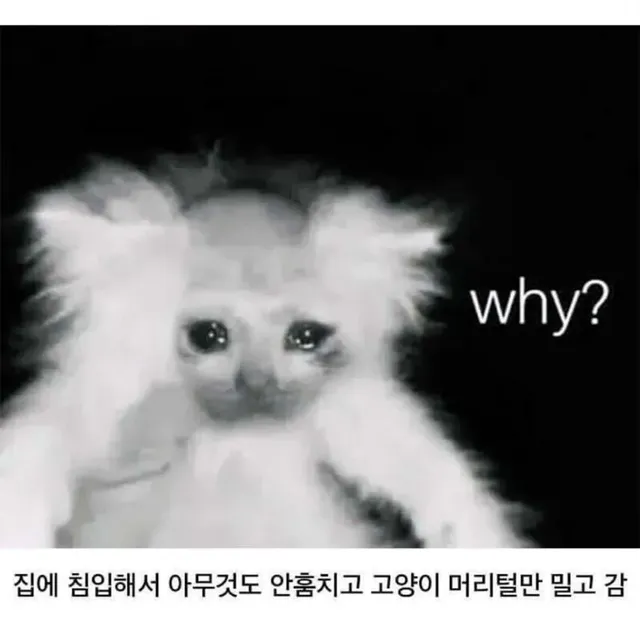 미국 플로리다에서 일어난 끔찍한 사건