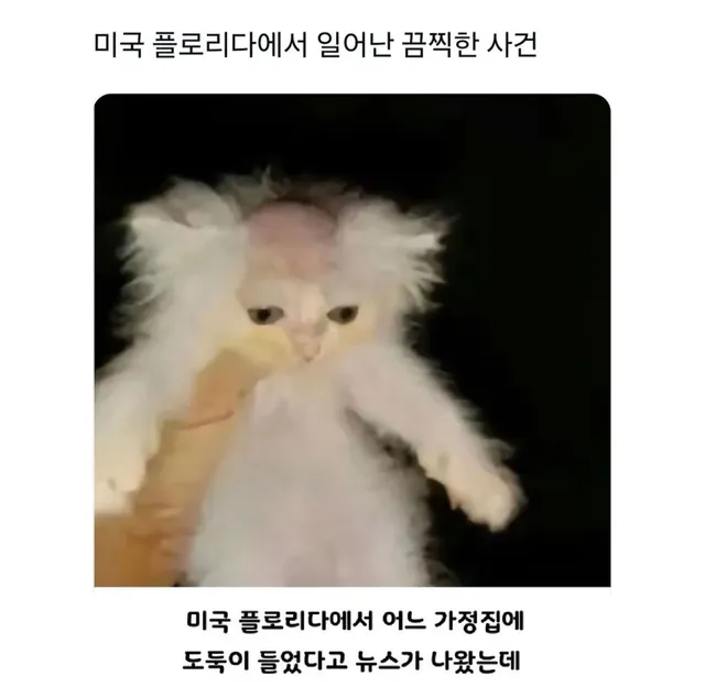 미국 플로리다에서 일어난 끔찍한 사건