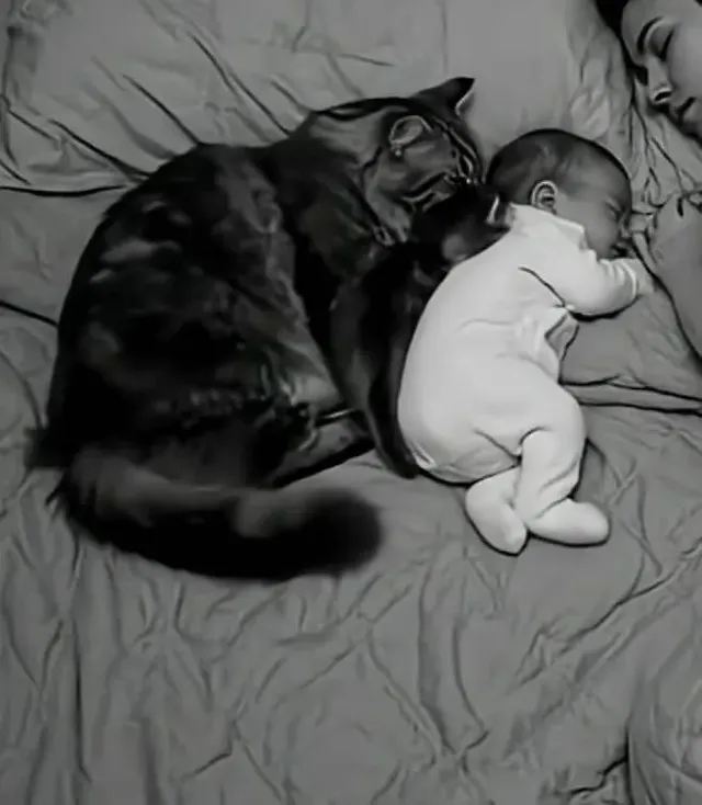 침대서 엄마랑 곤히 자고 있는 아기에게 1초 뒤 찾아 올 엄청난 행복