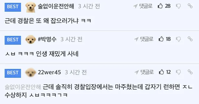 경찰 볼때마다 도망다니는 펨붕이